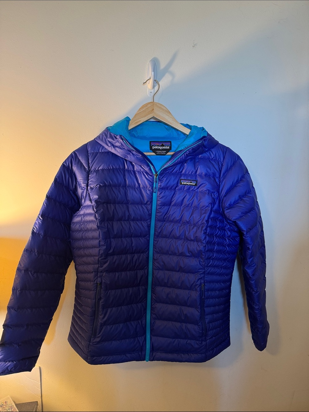 Patagonia Women's Down Sweater Hoody (jacket) Large